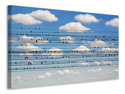 canvas-print-cantus-arcticus-concerto-for-birds