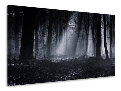 canvas-print-capela-forest