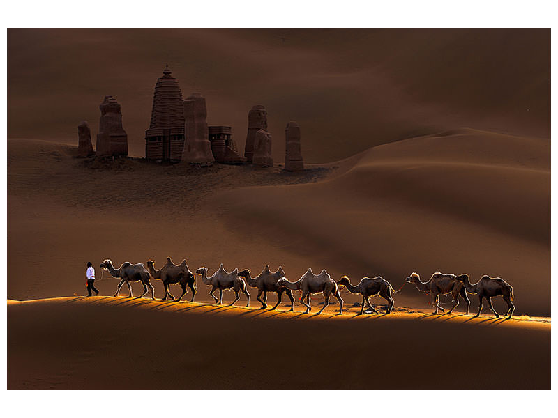 canvas-print-castle-and-camels