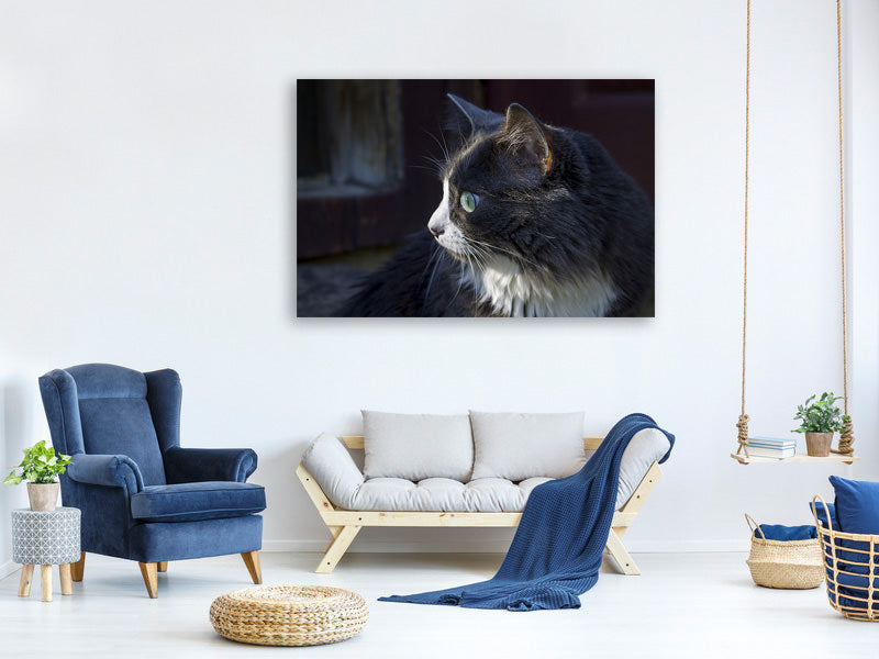 canvas-print-cat39s-head-xl