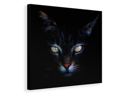 canvas-print-cat