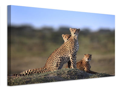 canvas-print-cheetahs-family-x