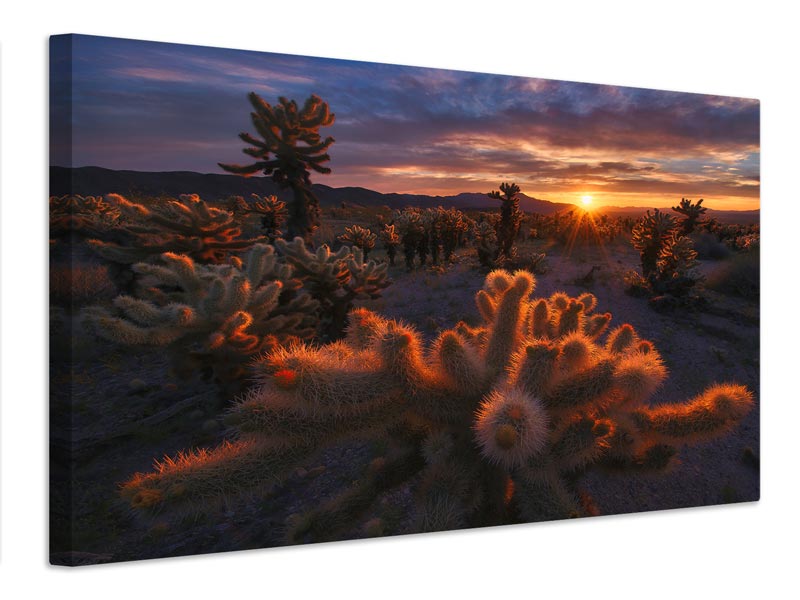 canvas-print-cholla-garden-x