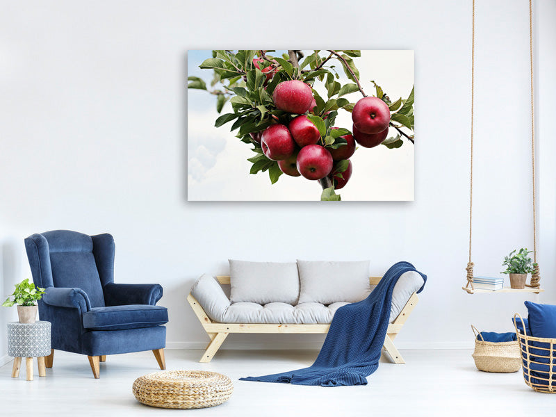 canvas-print-close-up-apple-tree