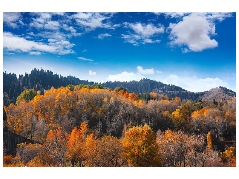 canvas-print-clouds-gather