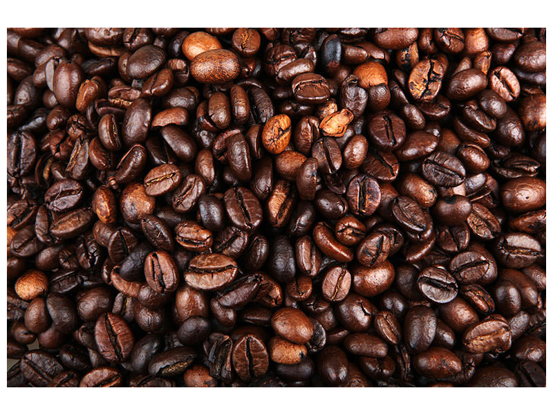 canvas-print-coffee-beans-in-xxl