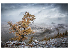 canvas-print-cold-autumn-morning-in-the-mountains-x