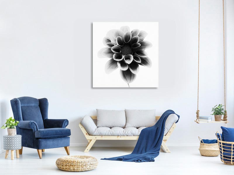 canvas-print-dahlia-xct