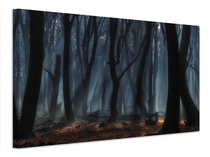 canvas-print-dancing-trees-x