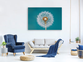 canvas-print-dandelion-a