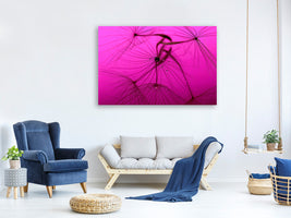 canvas-print-dandelion-in-pink