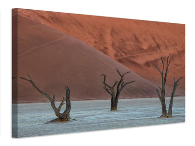 canvas-print-deadvlei-xof