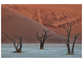 canvas-print-deadvlei-xof