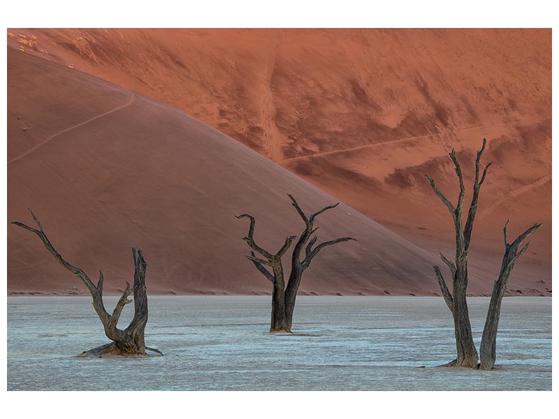 canvas-print-deadvlei-xof