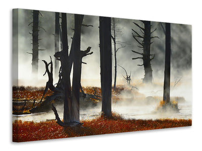 canvas-print-deadwood