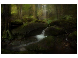 canvas-print-deep-in-the-forest-x