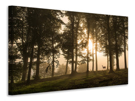 canvas-print-deer-in-the-morning-mist