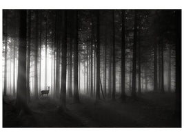 canvas-print-deers-morning-x