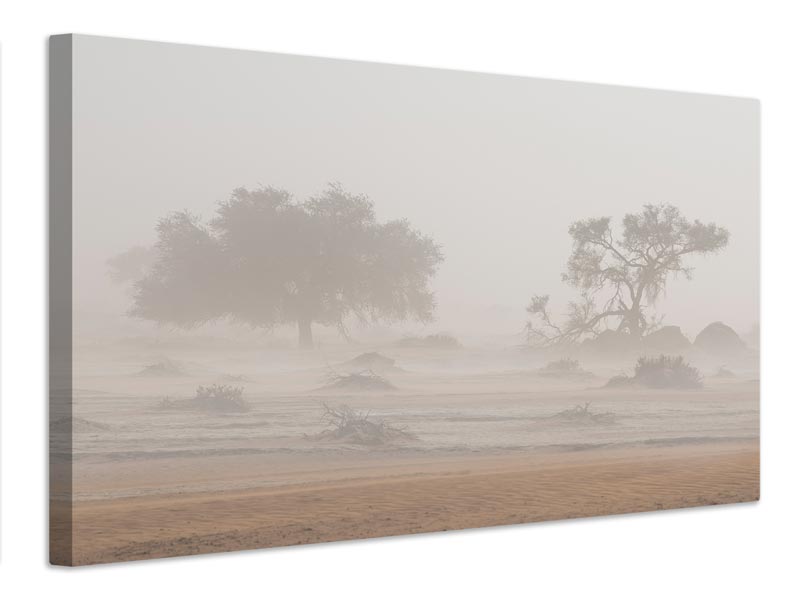 canvas-print-desert-storm-x