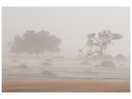 canvas-print-desert-storm-x