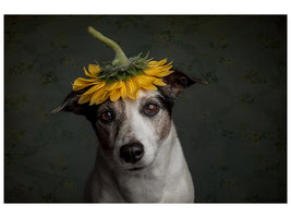 canvas-print-does-she-realize-she-looks-like-a-sunflower-x