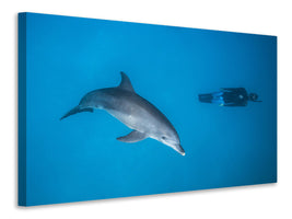 canvas-print-dolphin-and-freediver