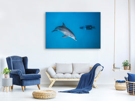 canvas-print-dolphin-and-freediver