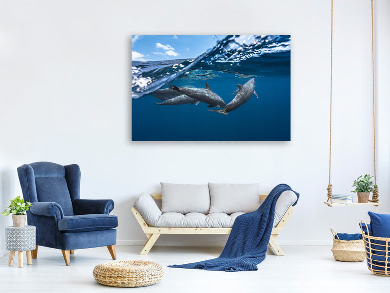 canvas-print-dolphins