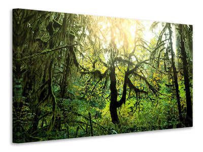 canvas-print-dreamy-forest