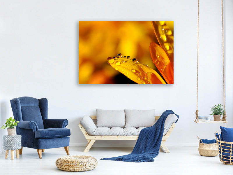 canvas-print-drops-close-up