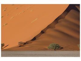 canvas-print-dune-y