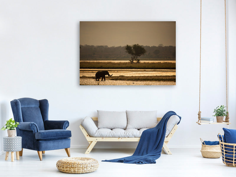 canvas-print-elephant-alone-in-the-steppe