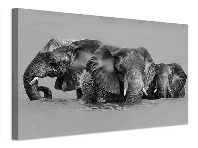 canvas-print-elephant-crossing-the-river-x