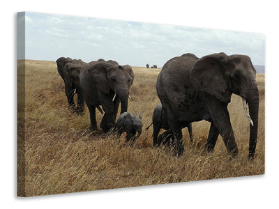 canvas-print-elephant-family