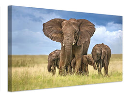 canvas-print-elephant-mom-protecting-her-calves-x