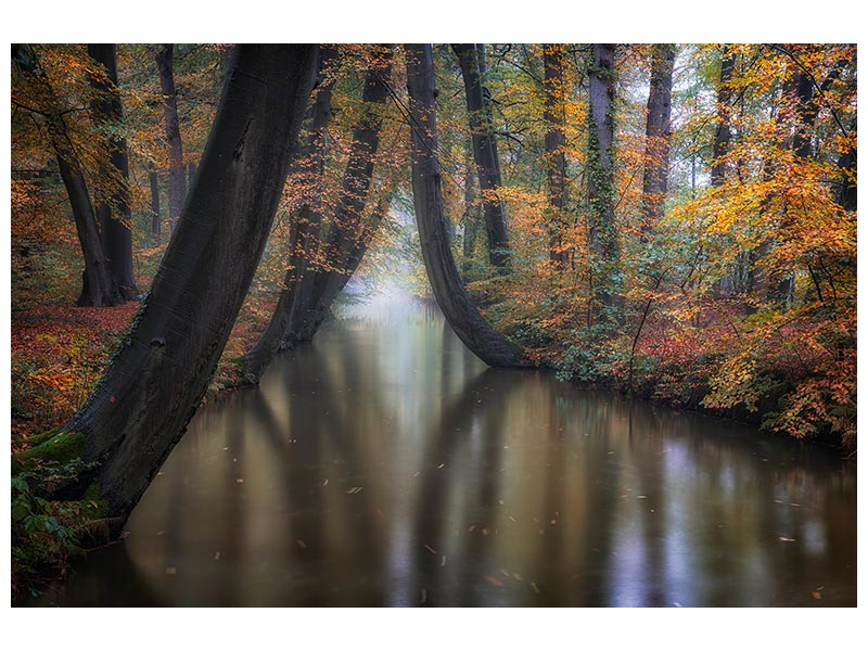 canvas-print-enchanted-autumn-x