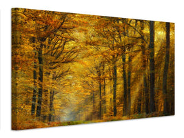 canvas-print-enchanted-forest-x