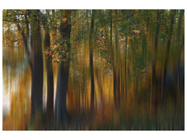 canvas-print-fall-impression-i