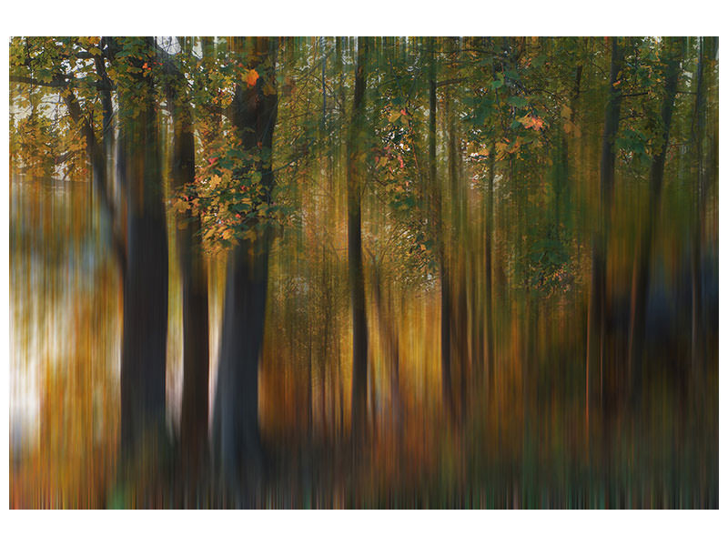 canvas-print-fall-impression-i