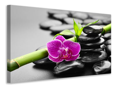canvas-print-feng-shui-orchid