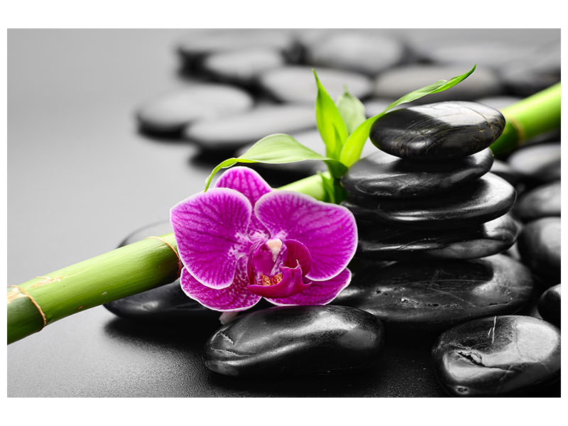 canvas-print-feng-shui-orchid