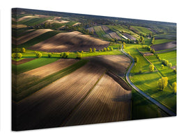 canvas-print-fields-xmb