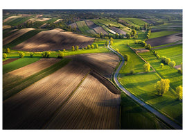 canvas-print-fields-xmb