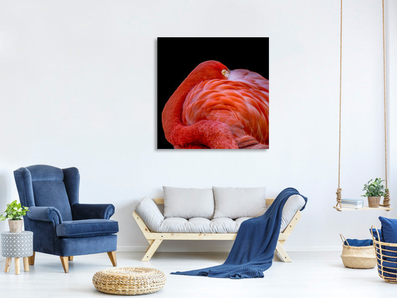 canvas-print-flamingo-a