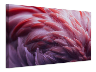 canvas-print-flamingo-xqw