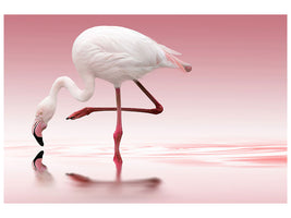 canvas-print-flamingo