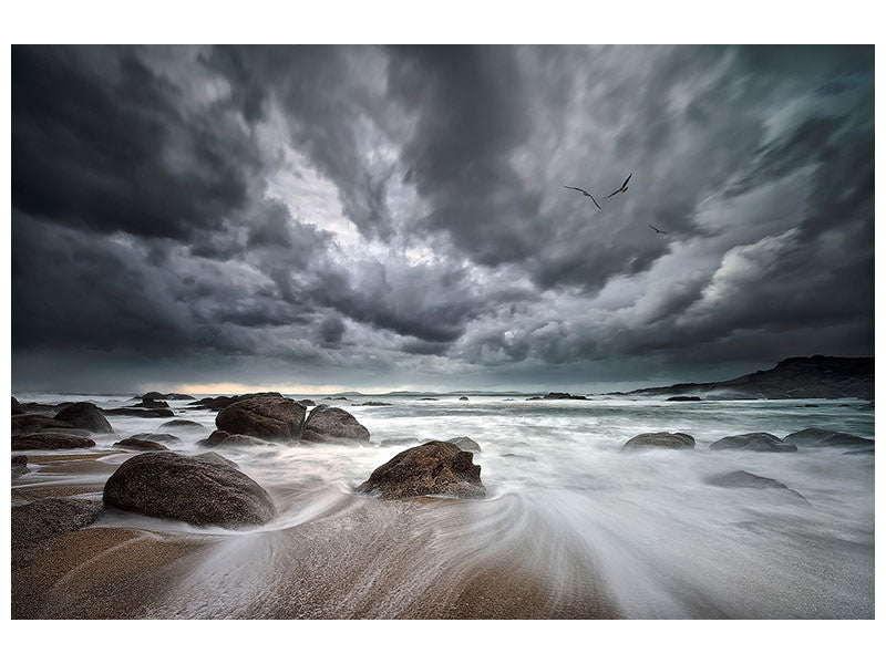 canvas-print-flight-over-troubled-waters