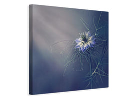 canvas-print-flower-x