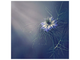 canvas-print-flower-x