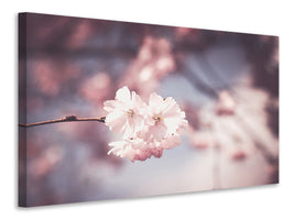 canvas-print-flower-xl